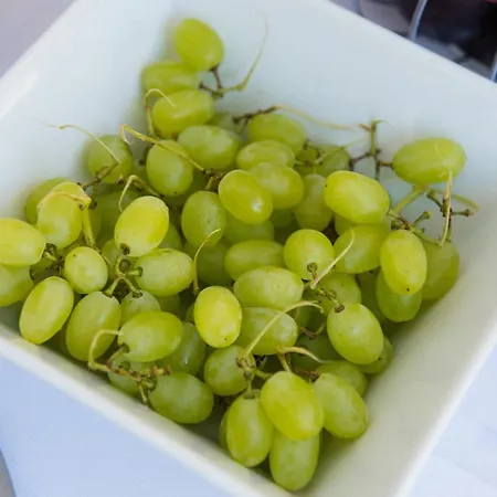 Appartamento Irini *