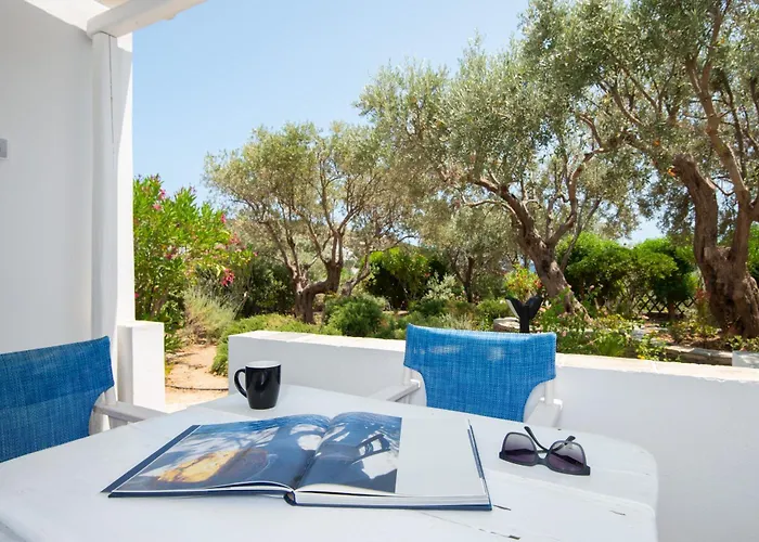 伊里尼公寓式酒店 公寓 *