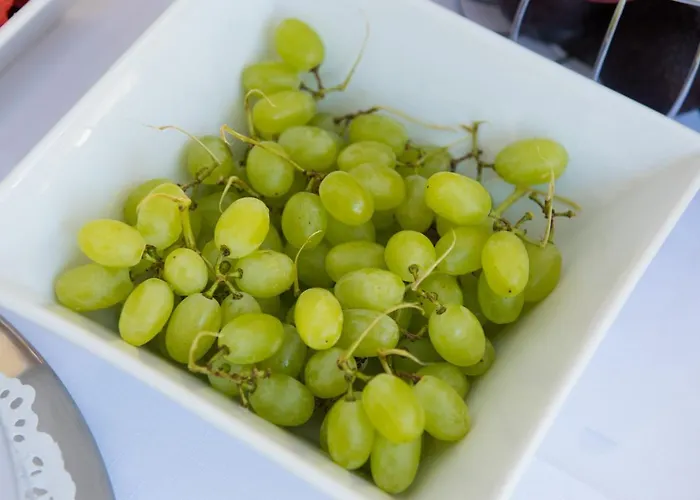 公寓 伊里尼公寓式酒店 *